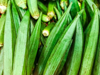 A vibrant pile of fresh green okra vegetables, showcasing their unique texture and linear shape.