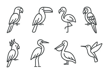 Fototapeta premium Tropical Bird Icons. Outline icon set of tropical birds: parrot, toucan, flamingo, macaw, cockatoo, heron,