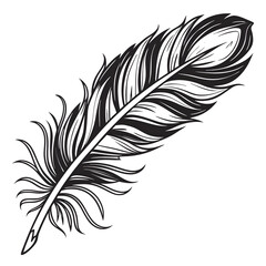 Fototapeta premium feather vector illustration