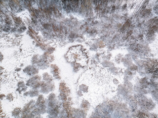Aerial view of a winter pine forest. Top view of snow-covered pine trees. Beautiful winter forest...