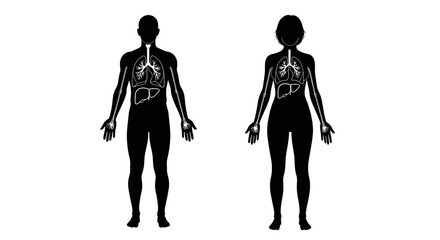 Anatomical illustration depicting male and female silhouettes with internal organs shown in white
