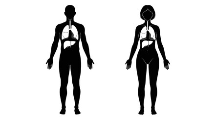 Illustration of male and female anatomical figures with internal organs highlighted in white color