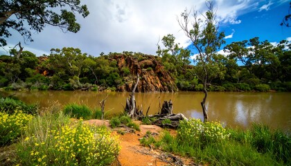 Scenic riverbank with wildflowers