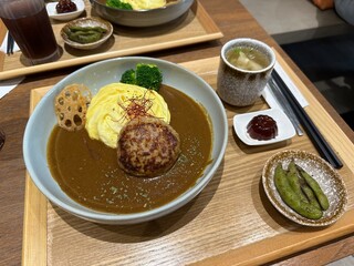 Japanese Hamburg Steak Curry and Omurice Set