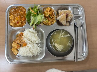 Balanced School Lunch on a Metal Tray