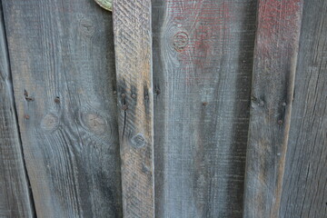 Old tree, wooden boards, dried out wood, background of old and ancient wood with cracks, abrasions,...