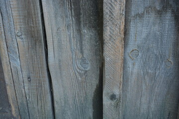 Old tree, wooden boards, dried out wood, background of old and ancient wood with cracks, abrasions,...