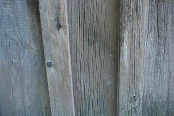 Old tree, wooden boards, dried out wood, background of old and ancient wood with cracks, abrasions,...