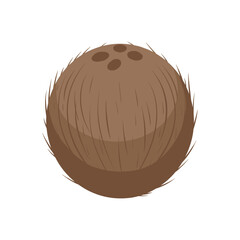 Brown Coconut with Fibrous Shell Cartoon Vector Icon Illustration. Tropical Fruit Nut Food Object Icon Concept Isolated Premium Vector. Flat Cartoon Style