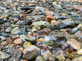 Wet Pebbles and Rocks Scattered on a Riverbed