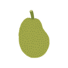 Jackfruit Spiky Textured Cartoon Vector Icon Illustration. Tropical Fruit Object Icon Concept Isolated Premium Vector. Flat Cartoon Style
