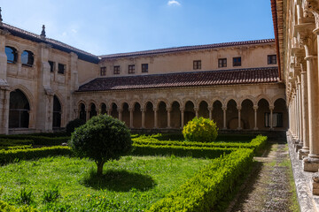 Fototapeta premium Generated image