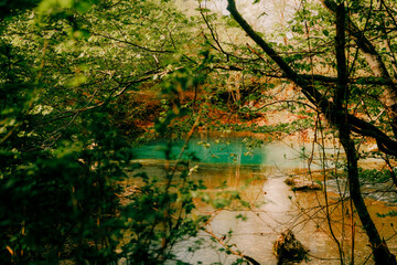 Scenic view of a turquoise river surrounded by lush green forest and branches in spring light