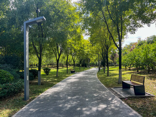 Shaded Park Path with Benches and Lush Greenery