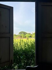 Wooden window with natural outdoor, it’s like a piece of nature in your home! 