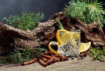 Cocktail gin-tonic with lemon, cinnamon, anise, and juniper berries.