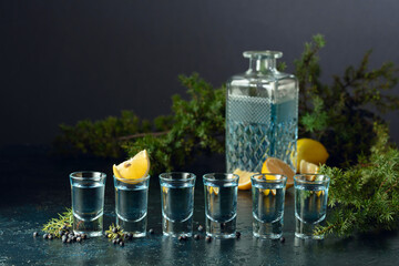 Gin with juniper berries and lemon slices.