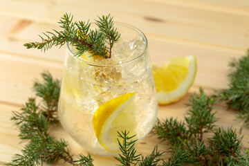 Gin and tonic cocktail with crushed ice and lemon slices.