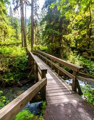 Obraz premium Wooden footbridge spanning a creek in a lush, green forest