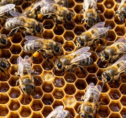 Busy bees collecting nectar and maintaining hive in intricate honeycomb structure under warm sunlight