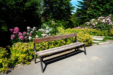 Wooden park bench in a sunny garden, surrounded by colorful blooming roses and green foliage,...