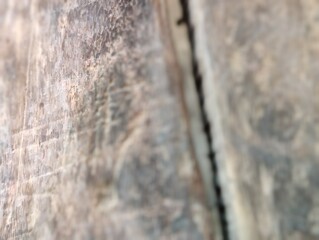 Detailed close-up of rustic wooden surface with intricate natural texture
