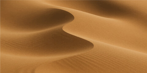 Ripples of wind-swept sand dunes create a captivating, textured landscape in the Sahara desert © Ashraful