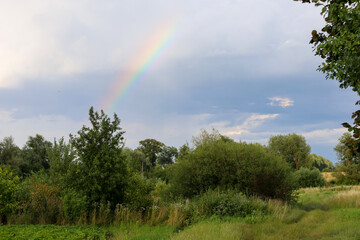 A partial rainbow appears over a rural landscape where green trees and shrubs border a field. It...