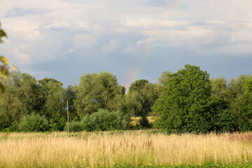 A subtle, barely visible rainbow arcs over a field of ripe wheat and a lush green forest. The soft light of the evening sun highlights the tranquility of this rural landscape, adding a sense of magic 