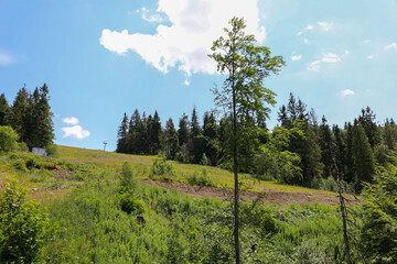 A mountain landscape in the middle of summer with hills covered in fresh green grass and diverse...