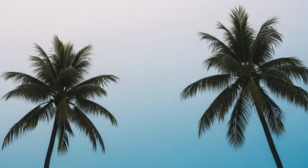 Two palm trees against a gradient blue sky, creating a tranquil and serene image, showcasing summer, vacation, and tropical paradise concepts