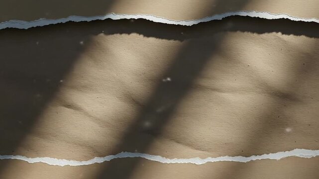 Ripped Paper Background with Sunlight and Dust Particles