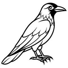 Obraz premium Stylized black and white illustration of a crow perched