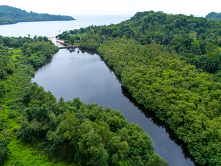 Obraz premium Calm tropical river winding through dense green jungle in São Tomé, surrounded by lush vegetation and palm trees. 