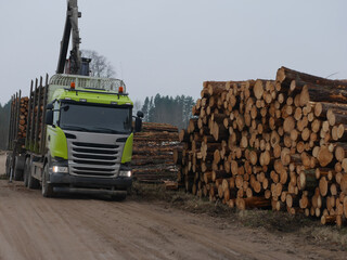 timber carrier and log store © talavietis