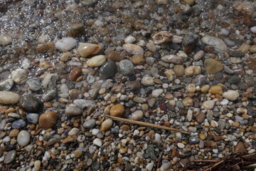 Polished pebbles on a sunlit beach, smooth and glistening by the water’s edge.