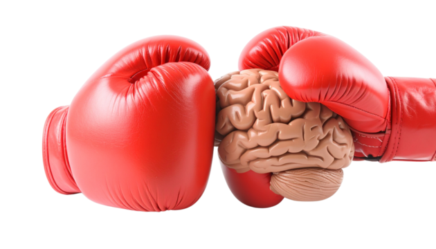 A realistic human brain model faces a red boxing glove, representing concepts of mental health challenges, cognitive stress, or intellectual conflict isolated on solid white background in Png