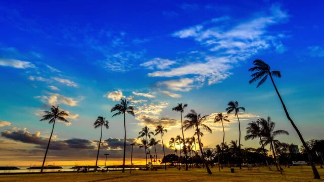 ハワイのヤシの樹とマジックアイランドの夕焼け空_4K_fix