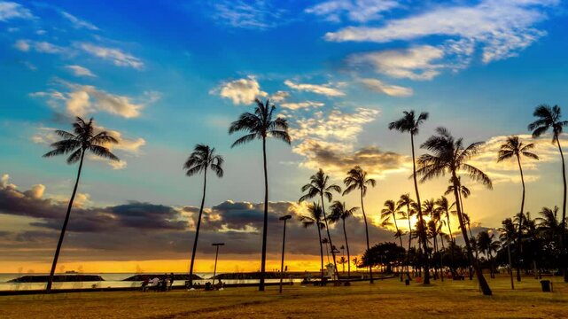 ハワイのヤシの樹とマジックアイランドの夕焼け空_4K_pan