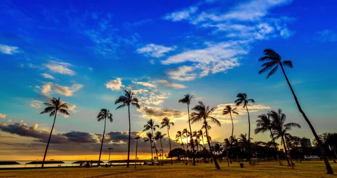 ハワイのヤシの樹とマジックアイランドの夕焼け空_DCI4K_fix