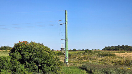 Tall green metal utility pole carries power cables across grassy fields and lush wild vegetation,...