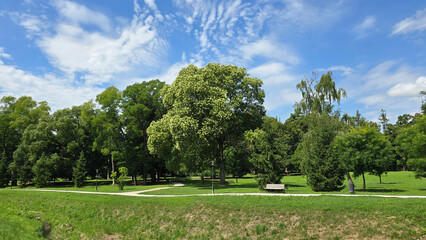 Paved walkway curves past a blooming tree and park bench, set among vibrant green grass and various...