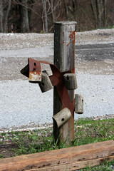 Aged timber post with attached rusty metal bands and several small birdhouse mounts stands beside a rural road among grass and wild spring plants