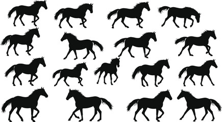 Silhouettes of running horses in various poses, wild animals, dynamic motion, nature wildlife, equine energy, black horse outlines, white background