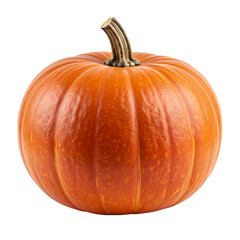 Fototapeta premium Vibrant ripe pumpkin with textured skin and sturdy stem, perfect for autumn harvest celebrations.