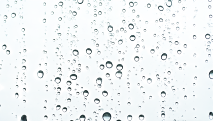 Raindrop Symphony: A close-up photo captures the delicate dance of individual raindrops on a window, each droplet reflecting the light and creating a serene pattern of natural elegance.