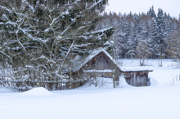 There is snow on the roof of the barn. A log barn in the village in winter. There are snowdrifts...