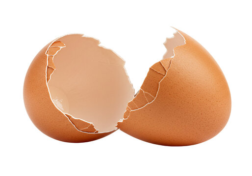 Broken eggshell close up high contrast macro shot