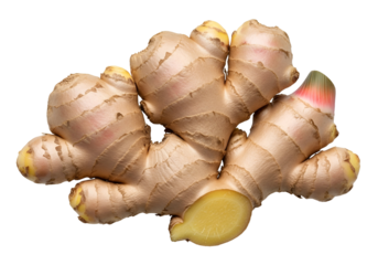 Fresh ginger root with sliced piece on black background for culinary use and health benefits