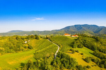 Obraz premium Picturesque landscape in Plesivica in Croatia, popular Croatian wine region and tourist destination
